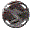 button.gif (1191 bytes)