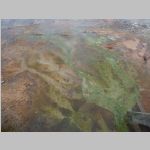 R0019836_Yellowstone_WestThumbGeyserBasin.jpg