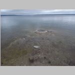 R0019842_Yellowstone_WestThumbGeyserBasin.jpg