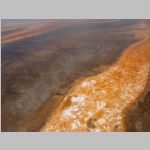 R0019931_Yellowstone_GrandPrismaticSpring.jpg