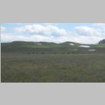 R0019997_Yellowstone_Bison.jpg