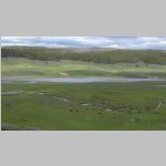 R0020015_YellowstoneRiverAndBison.jpg