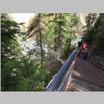 R0020286_Yellowstone_LowerFalls.jpg