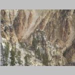 R0020310_Yellowstone_OspreyNest.jpg