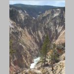 R0020325_Yellowstone_LowerFalls.jpg