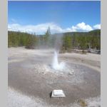 R0020395_Yellowstone_NorrisGeyserBasin_VixenGeyser.jpg