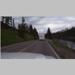 R0020438_Yellowstone_Bison.jpg
