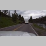 R0020439_Yellowstone_Bison.jpg