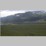 R0020479_Yellowstone_LamarValley_Bison.jpg