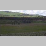 R0020480_Yellowstone_LamarValley_Bison.jpg