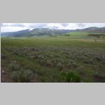R0020481_Yellowstone_LamarValley_Bison.jpg