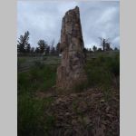 R0020490_Yellowstone_PetrifiedTree.jpg