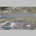 R0020556_Yellowstone_FireholeLakeAndBison.jpg