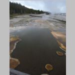 R0020610_Yellowstone_OldFaithfulGeyserBasin.jpg