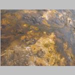 R0020633_Yellowstone_OldFaithfulGeyserBasin.jpg