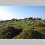 Dartmoor2010.jpg