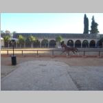 R0019129_RoyalStables_Cordoba_Spain.jpg