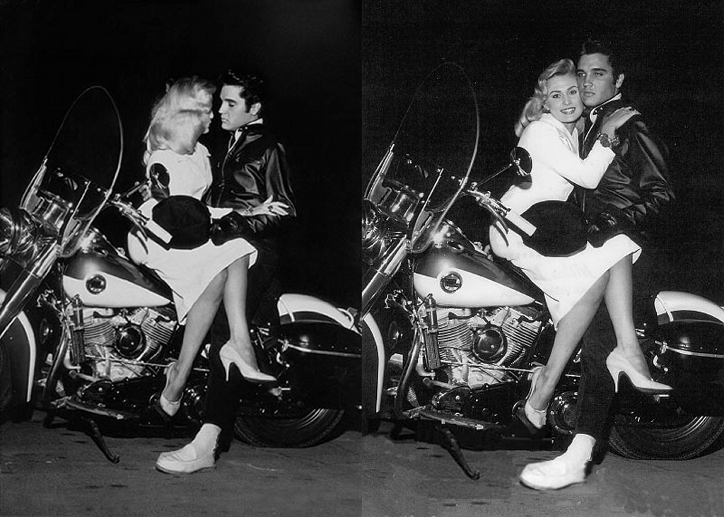 harley davidson bubble bags