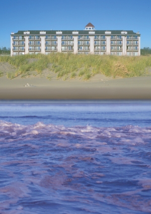 Ocean Shores Washington Beachfront  Bed and Breakfast
