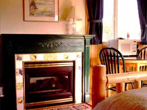 Orcas Island Washington Log Inn