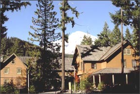 Mt. Rainier Guest Lodge Inn