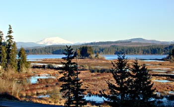 Mt. Saint Helens Bed and Breakfast