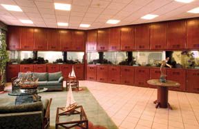 Ocean Shores Washington Hotel Suites