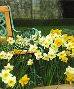 Victoria Canada Bed and Breakfast