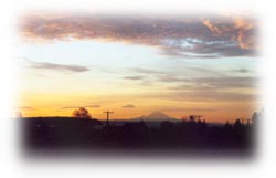 Whidbey Island Washington Bed and Breakfast
