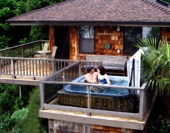 Southwest Seattle Romantic Hideaway Cabin