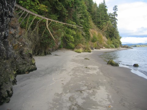 Southern Washington Riverside Villa Bed and Breakfast