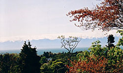Victoria Canada Romantic Bed and Breakfast