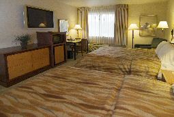 Bellevue Modern Inn