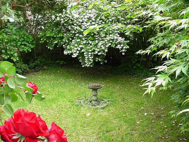 Magnolia Cottage B&B