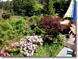 Jacuzzi View Cottage